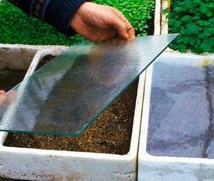 L'Ami des Jardins 1110 DES ASTUCES POUR VOS PROCHAINS SEMIS