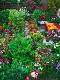 L'Ami des Jardins 1110 VOS PLUS BEAUX JARDINS