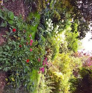 L'Ami des Jardins 1110 EN TOURAINE