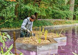 L'Ami des Jardins 1167 Des jardins flottants au service de la biodiversité