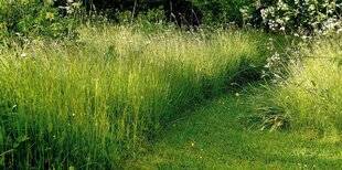 L'Ami des Jardins 1167 C'est la campagne !
