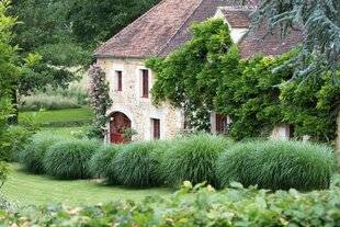 L'Ami des Jardins 1167 Craquez pour les miscanthus