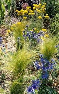 L'Ami des Jardins 1167 En bordure, en potée, et même en jardinière !