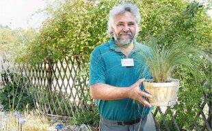 L'Ami des Jardins 1167 DIDIER MARCHAND SPÉCIALISTE DES GRAMINÉES