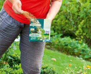 L'Ami des Jardins 1167 PROTÉGER LE SOL DE LA PLUIE HIVERNALE