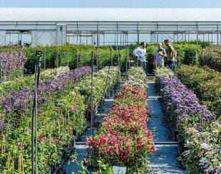 L'Ami des Jardins 1168 Bon anniversaire !