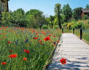 L'Ami des Jardins 1168 De nouveaux lauréats