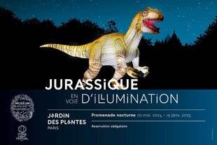 L'Ami des Jardins 1168 Visite nocturne