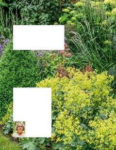 L'Ami des Jardins 1168 PLANTER EN AUTOMNE pour fleurir le printemps…