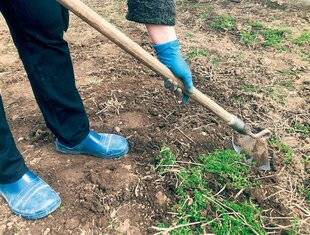 L'Ami des Jardins 1168 DÉFRICHER UNE NOUVELLE PARCELLE