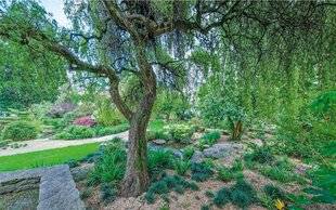 L'Ami des Jardins 1168 JARDIN DU THÉÂTRE MAX JACOB UN PETIT PARADIS CACHÉ