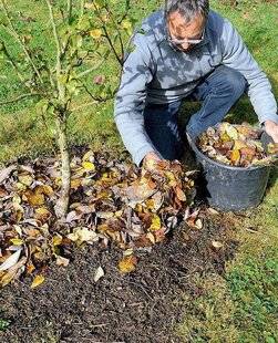 L'Ami des Jardins 1169 COMMENT PROTÉGER SES PLANTES DU FROID ?