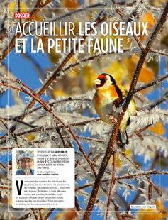 L'Ami des Jardins 1169 ACCUEILLIR LES OISEAUX ET LA PETITE FAUNE