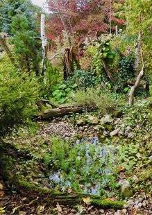 L'Ami des Jardins 1169 Comment accueillir la vie sauvage ?