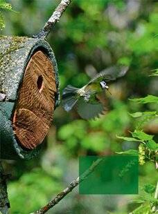 L'Ami des Jardins 1169 Jardiner en accord avec la nature
