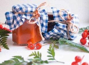 L'Ami des Jardins 1169 CONFECTIONNER DE LA GELÉE DE SORBIER
