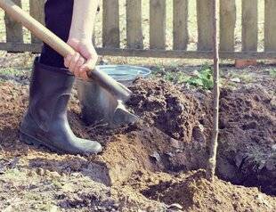 L'Ami des Jardins 1169 PLANTER EN TERRAIN LOURD