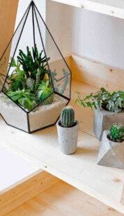 L'Ami des Jardins 1169 MINI MAIS DURABLES