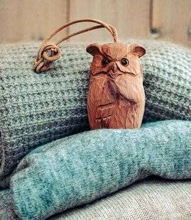 L'Ami des Jardins 1170 Un hibou dans votre penderie