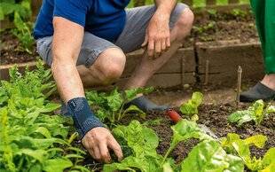 L'Ami des Jardins 1170 Moins de bobos !