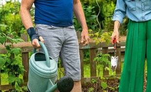 L'Ami des Jardins 1170 On gratte pour la biodiversité