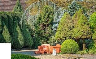 L'Ami des Jardins 1170 LE JARDIN DE TOUS LES DIMANCHES