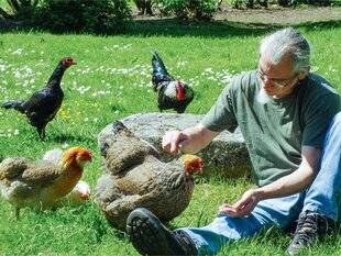 L'Ami des Jardins 1170 BIEN S'OCCUPER D'UN POULAILLER