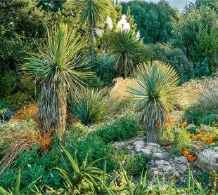 L'Ami des Jardins 1170 EXOTIQUES ET RUSTIQUES