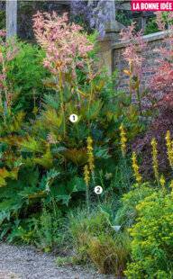 L'Ami des Jardins 1170 Des silhouettes originales