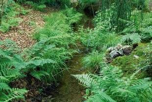L'Ami des Jardins 1170 13 000