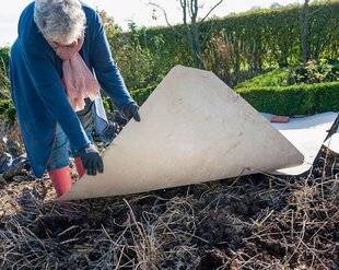 L'Ami des Jardins 1170 DES CARTONS AU JARDIN OUI, MAIS…