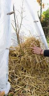 L'Ami des Jardins 1170 UNE PROTECTION BIENVENUE