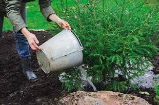 L'Ami des Jardins 1170 DONNER À BOIRE AUX PERSISTANTS