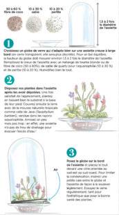 L'Ami des Jardins 1170 DES CARNIVORES SOUS GLOBE
