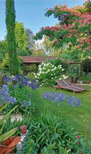 L'Ami des Jardins 1170 VOS PLUS BELLES SCÈNES DE JARDIN