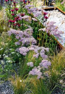 L'Ami des Jardins 1171 Bien occuper l'espace