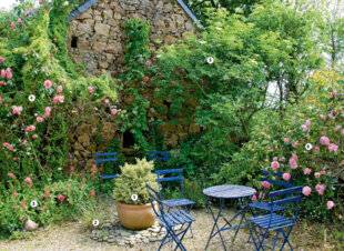 L'Ami des Jardins 1171 Entre cours et jardin