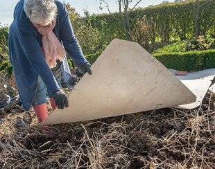 L'Ami des Jardins 1171 OCCULTER MAIS PAS SEULEMENT