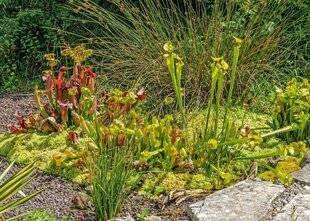 L'Ami des Jardins 1171 LES CONSEILS DE JEAN-MARIE