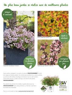L'Ami des Jardins 1174 PROVEN WINNERS