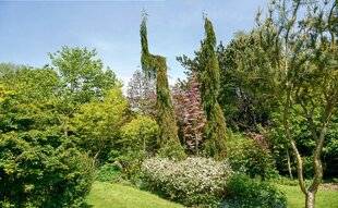 L'Ami des Jardins 1174 REFLETS DE JARDIN