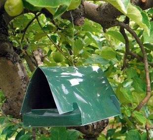 L'Ami des Jardins 1174 PROTÉGER LES FRUITS