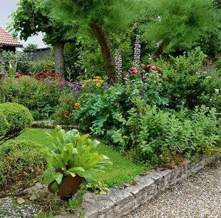 L'Ami des Jardins 1174 VOS PLUS BELLES SCÈNES DE JARDIN