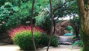 L'Ami des Jardins 1174 Le Jardin du Revers (Manche)
