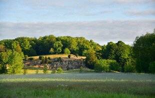 L'Ami des Jardins 1174 Domaine départemental de Méréville (Île-de-France)