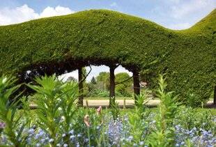 L'Ami des Jardins 1174 Les Jardins de Brocéliande (Ille-et-Vilaine)