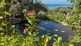 L'Ami des Jardins 1174 Jardin botanique du Désert (Guadeloupe)