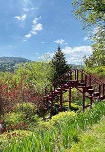 L'Ami des Jardins 1174 Le Vallon du Brec (Alpes-Maritimes)