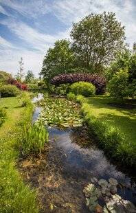 L'Ami des Jardins 1174 Le Jardin du Brûle (Oise)