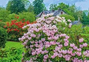 L'Ami des Jardins 1174 UN JARDIN DES 4 SAISONS